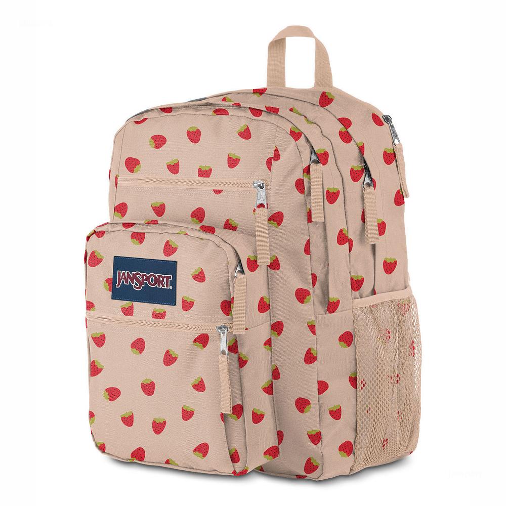 Sac à Dos Ordinateur JanSport BIG STUDENT Rose Rouge | LYJ-26480962